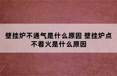 壁挂炉不通气是什么原因 壁挂炉点不着火是什么原因